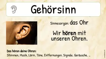 Vorschau - Stationenlernen - Materialpaket - die 5 Sinne - Seite 2