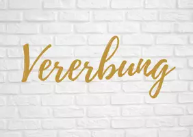 Vorschau - Arbeitsblätter - (Ausschließlich Begriffskarten für Strukturlegemethode) Kostproben Neurobiologie, Ökologie, Evolution und Genetik - Seite 3