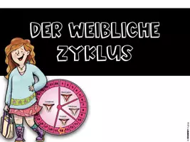 Vorschau - Stundenentwürfe - Sexualkunde - Der weibliche Zyklus - Seite 1