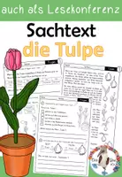 Vorschau - Arbeitsblätter - Sachtext: Tulpe / Tulpenjahr mit Fragen zum Text - auch als Lesekonferenz geeignet - Deckblatt