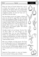 Vorschau - Arbeitsblätter - Sachtext: Tulpe / Tulpenjahr mit Fragen zum Text - auch als Lesekonferenz geeignet - Seite 2