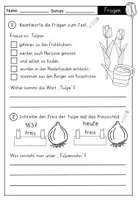Vorschau - Arbeitsblätter - Sachtext: Tulpe / Tulpenjahr mit Fragen zum Text - auch als Lesekonferenz geeignet - Seite 3