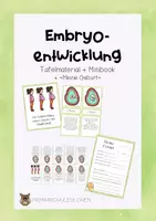 Vorschau - Arbeitsblätter - Embryoentwicklung Tafelmaterial + Minibook - Deckblatt