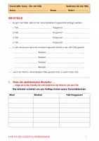 Vorschau - Arbeitsblätter - Wie bestimme ich die vier Fälle - Seite 1