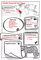 Vorschau - Arbeitsblätter - Steckbrief Jaguar - Seite 2