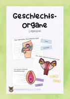 Vorschau - Arbeitsblätter - Geschlechtsorgane Legespiel / Arbeitsblatt - Deckblatt