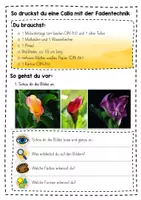 Vorschau - Stundenentwürfe - Fadendruck Grundschule – Kunstprojekt mit Anleitung (Klasse 1–4) | Fadenmalerei & kreative Drucktechnik - Seite 1