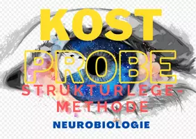 Vorschau - Poster - Kostprobe Neurobiologie - Deckblatt