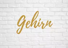 Vorschau - Poster - Kostprobe Neurobiologie - Seite 2