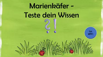 Vorschau - Interaktives Material - Interaktive PDF: Quiz zum Marienkäfer - Deckblatt