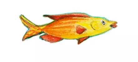 Vorschau - selbst erstellte Cliparts/Grafiken - ClipArts: Fröhliche Meeresbewohner – Fische & Co - Handgemalt mit Aquarellfarben - Seite 3