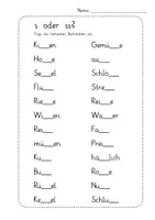 Vorschau - Arbeitsblätter - Ausfüllbare PDF: Arbeitsblatt "Doppelte Mitlaute: ss" inkl. Lösungsblatt für´s Homeschooling - Deckblatt
