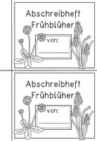 Vorschau - Arbeitsblätter - Frühblüher - Abschreibheft - zweifach differenziert - Seite 1