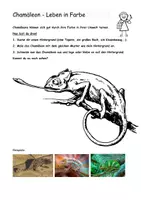 Vorschau - Arbeitsblätter - Chamäleon, Biologie, Text, Fragen, kreative Aufgabe - Seite 3