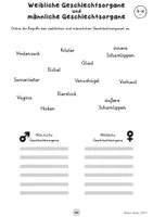 Vorschau - Arbeitsblätter - Sexualerziehung in der Grundschule (ABs und Frage/Antwort-Karten) - Seite 2
