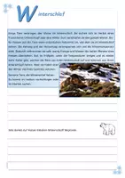 Vorschau - Arbeitsblätter - Überwinterung - Arbeitsblätter für Freiarbeit - Seite 3