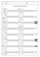 Vorschau - Arbeitsblätter - Arbeitsblatt Einzahl/Mehrzahl Körperteile (DaZ) - Seite 2