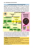 Vorschau - Arbeitsblätter - Einführung in die Metaphysik (Metaphysik AB 1) - Seite 3