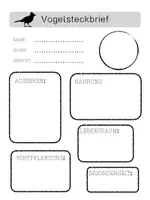 Vorschau - Arbeitsblätter - Vogelsteckbrief - Deckblatt
