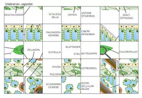 Vorschau - Spiele - Aufbau des Blattes – Puzzle - Seite 1