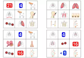 Vorschau - Spiele - Lunge und Atmung - Bingo - Seite 2