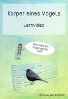 Vorschau - Videos - Der Körper eines Vogels: Lernvideo - Deckblatt