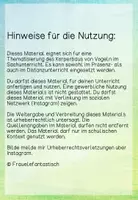 Vorschau - Videos - Der Körper eines Vogels: Lernvideo - Seite 2