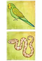 Vorschau - Fördermaterial/Inklusion - Wort- und Bildkarten zum Thema "Pets and Supplies" - Seite 2