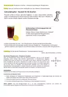 Vorschau - Stundenentwürfe - Phosphate im Knochen - Protolyse & Salzbildung der Phosphorsäure - Seite 1