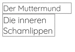 Vorschau - Arbeitsblätter - Sexualkunde/Sexualerziehung - Tafelbild innere Geschlechtsmerkmale Frau/Mann - Seite 3