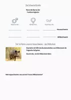 Vorschau - Arbeitsblätter - Das Hausschwein - Selbstlernmaterial - Seite 3