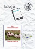 Vorschau - Arbeitsblätter - Das Hausschwein - Selbstlernmaterial - Deckblatt