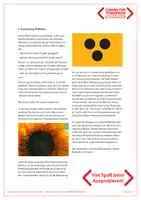 Vorschau - Stundenentwürfe - CFT Analoges Programmieren Warmup Farbcodespiel - Seite 3