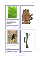 Vorschau - Stationenlernen - Wiese Klasse 2 - Vom Löwenzahn zur Pusteblume - Entwicklung - Lesekarten - Seite 2