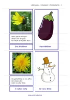 Vorschau - Stationenlernen - Wiese Klasse 2 - Vom Löwenzahn zur Pusteblume - Entwicklung - Lesekarten - Seite 3