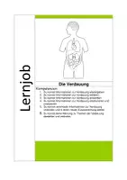 Vorschau - Arbeitsblätter - Lernjob Verdauung - Deckblatt