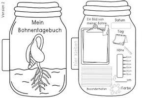 Vorschau - Arbeitsblätter - Die Bohne - Bohnentagebuch eine Bastelvorlage um das Wachstum zu Dokumentieren - Seite 3