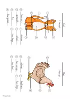 Vorschau - Arbeitsblätter - Picture Dictionary "Animal Bodies" (Farm animals/Pets) - Bilderwörterbuch - Seite 3