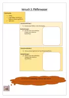 Vorschau - Arbeitsblätter - Oberflächenspannung, Wasser, Versuche, Wasserläufer, Arbeitsblätter - Seite 3