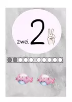 Vorschau - Poster - Zahlenplakate/ Zahlenposter/ Übersicht Zahlen ZR20 - Seite 1