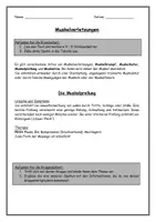 Vorschau - Arbeitsblätter - Muskelverletzungen - Seite 3