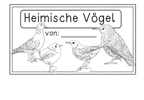 Vorschau - Arbeitsblätter - Flip Book Vögel - Bastelvorlage in 3 Versionen - Seite 2