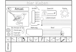 Vorschau - Arbeitsblätter - Flip Book Vögel - Bastelvorlage in 3 Versionen - Seite 3
