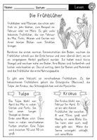 Vorschau - Arbeitsblätter - Sachtext: Frühblüher mit Fragen zum Text - auch als Lesekonferenz geeignet - Seite 1