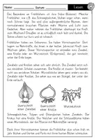 Vorschau - Arbeitsblätter - Sachtext: Frühblüher mit Fragen zum Text - auch als Lesekonferenz geeignet - Seite 2