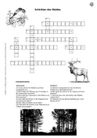 Vorschau - Arbeitsblätter - Stockwerke bzw. Schichten des Waldes - Rätsel - Seite 2