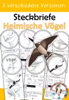 Vorschau - Arbeitsblätter - Vögel / Vogel - Steckbriefe in drei Versionen - Deckblatt