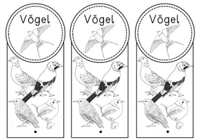 Vorschau - Arbeitsblätter - Vögel / Vogel - Steckbriefe in drei Versionen - Seite 1