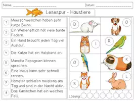 Vorschau - Arbeitsblätter - Mini Lesespur HAUSTIERE - 3fach differenziert - Seite 3