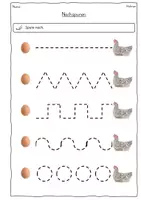 Vorschau - Arbeitsblätter - Das Huhn: 20 Arbeitsblätter mit Fotos Deutsch Klasse 1 mit Lösungen - Seite 2